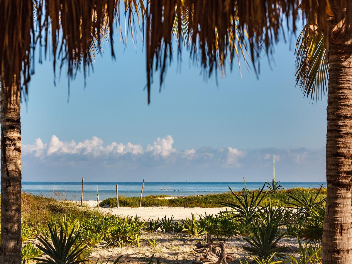 Hm Palapas Del Mar Hotel Ilha Holbox